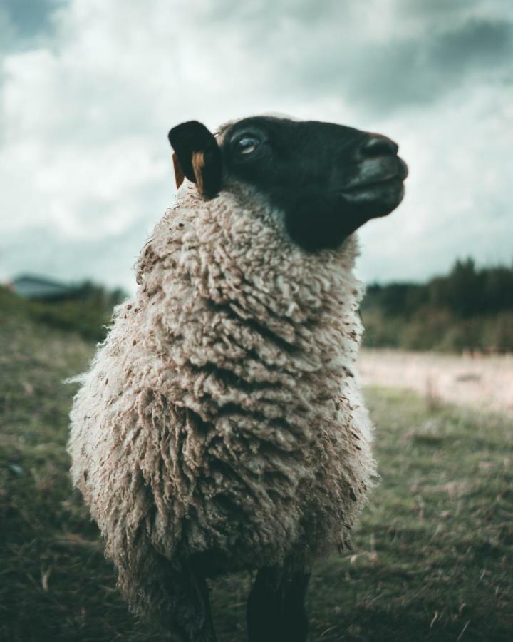 Rasos Sodyba Prienai Esterno foto